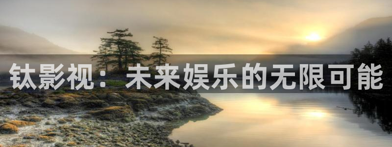 午夜寂寞光棍影院：钛影视：未来娱乐的无限可能