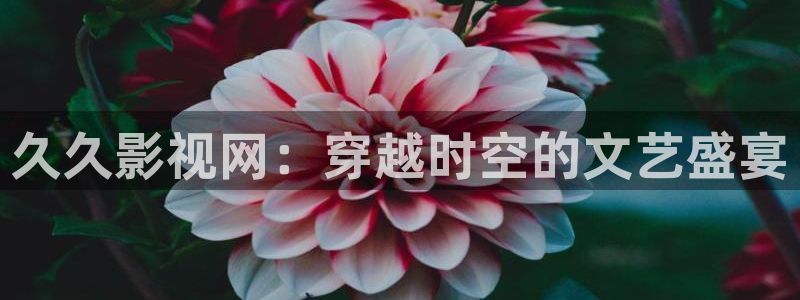 ′光棍影院：久久影视网：穿越时空的文艺盛宴