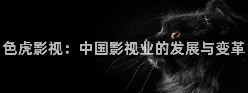 光棍影院义乌：色虎影视：中国影视业的发展与变革