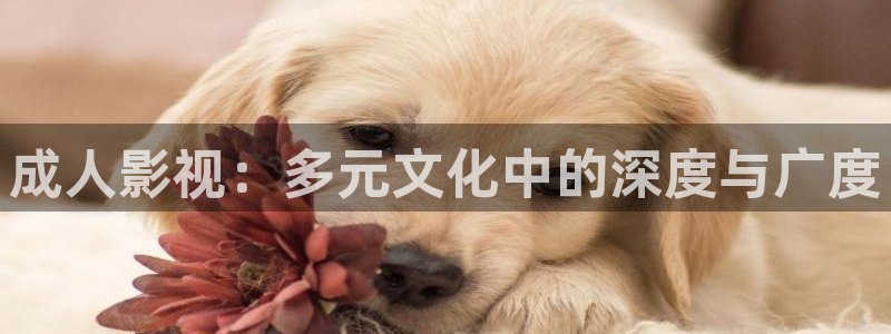光棍手机影院：成人影视：多元文化中的深度与广度