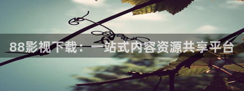 光棍影院在线后观看免费