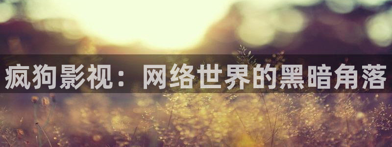 光棍影院91：疯狗影视：网络世界的黑暗角落