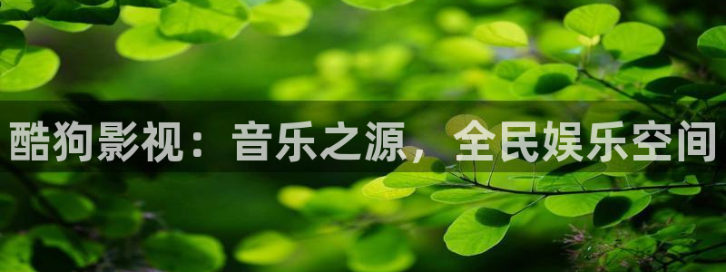 老光棍影院：酷狗影视：音乐之源，全民娱乐空间