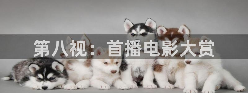 光棍影院免费观看视频伦理片